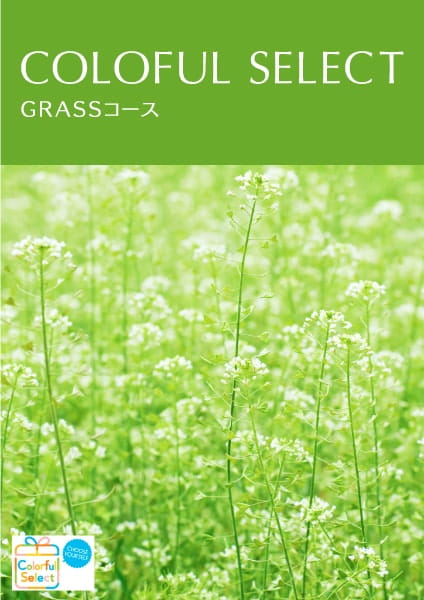 COLORFUL SELECT　GRASSコース