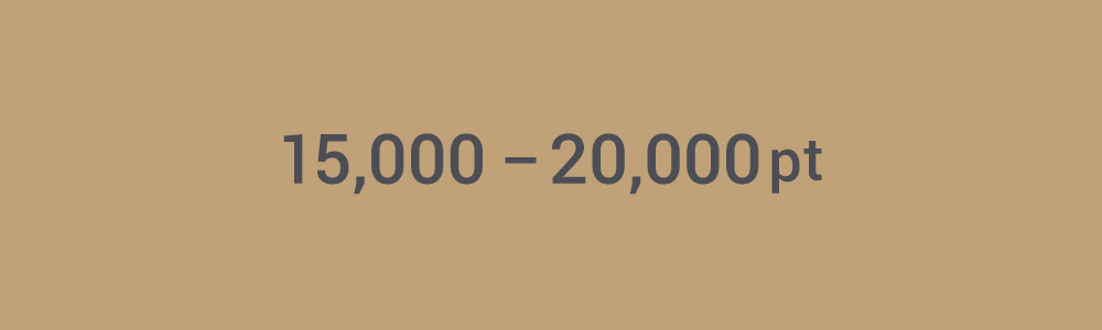 15,000pt～20,000pt