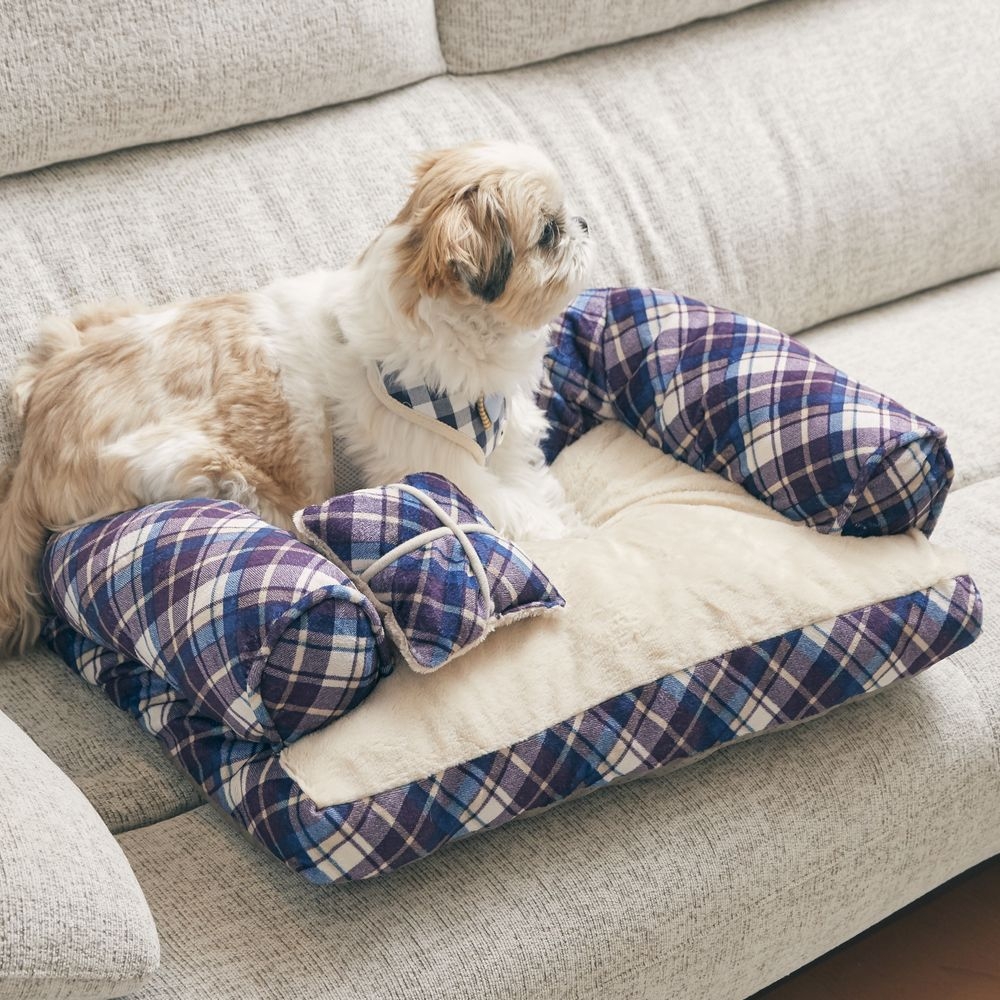 Pet Bed（ペットベッド）あご置きクッション付き