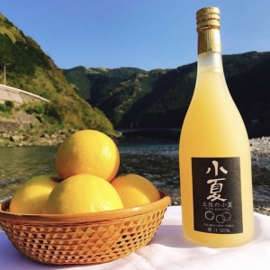 小夏果汁飲料ギフト