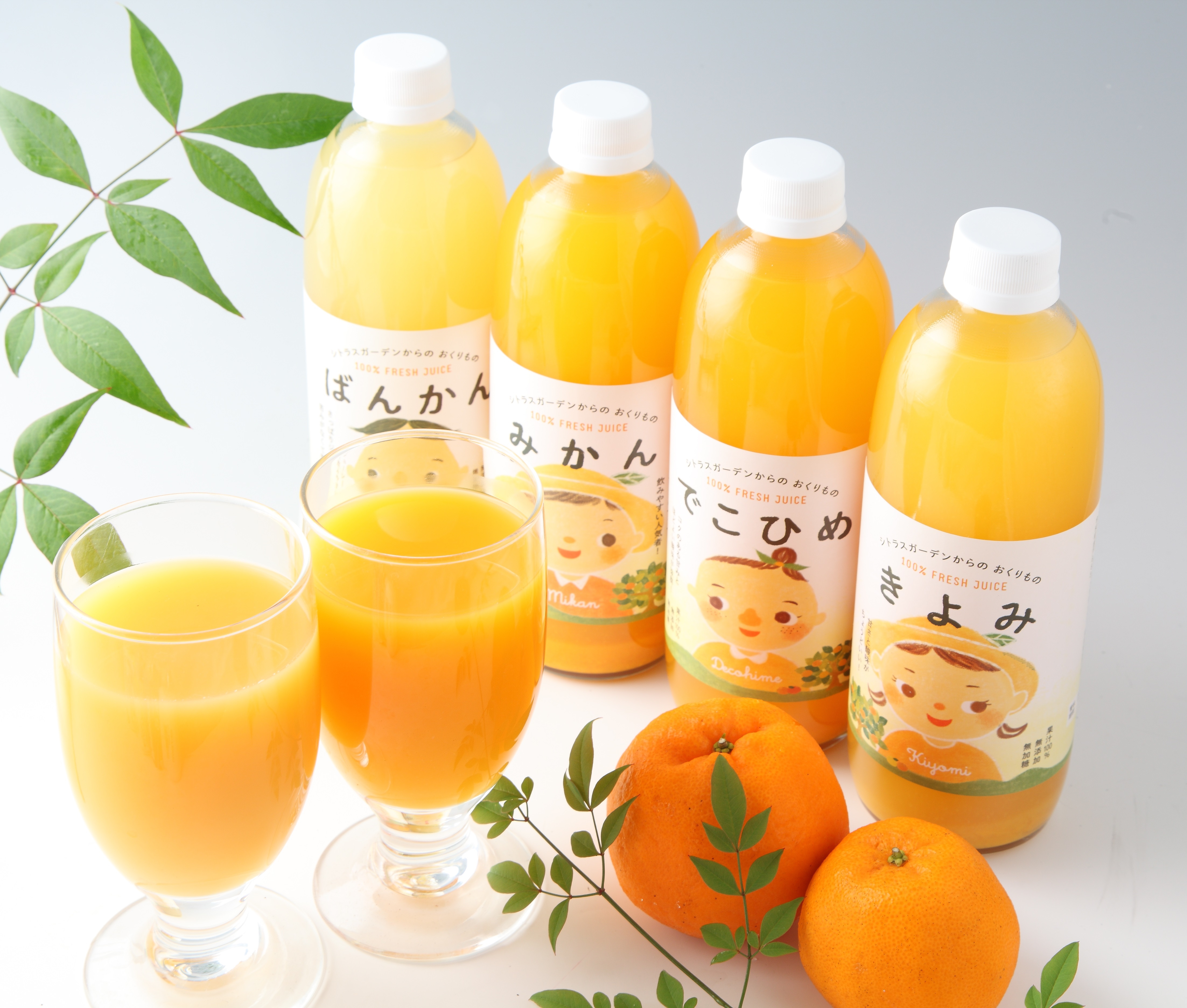 愛媛県産柑橘ストレートジュース4本セット | Gift Pad