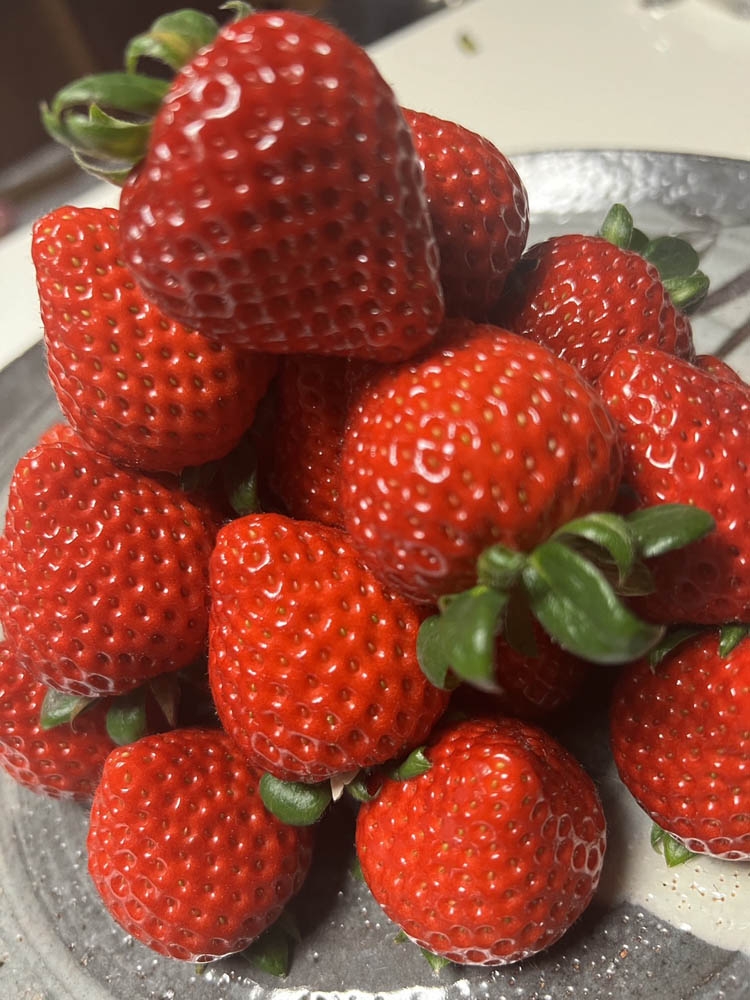 全国いちご選手権金賞受賞「いちご畑花園」のあまりん 厳選2Lサイズ