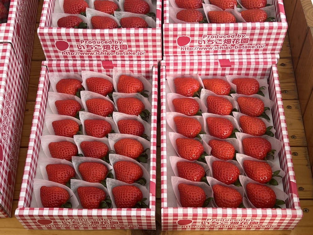 全国いちご選手権金賞受賞「いちご畑花園」のあまりん 厳選2Lサイズ