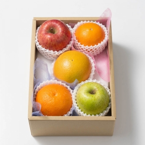 ホシフルーツ おまかせ旬のフルーツBOX AN