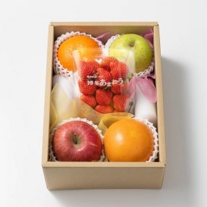 ホシフルーツ おまかせ旬のフルーツBOX BN