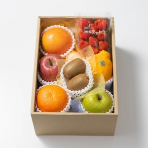 ホシフルーツ おまかせ旬のフルーツBOX CN