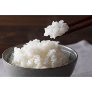 【数量限定】コシヒカリ10kg(5kg×2)