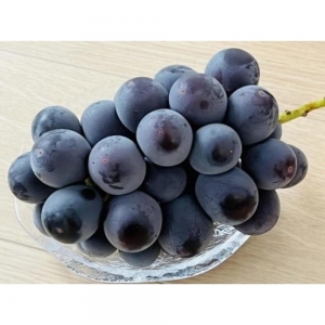 巨峰 桐箱