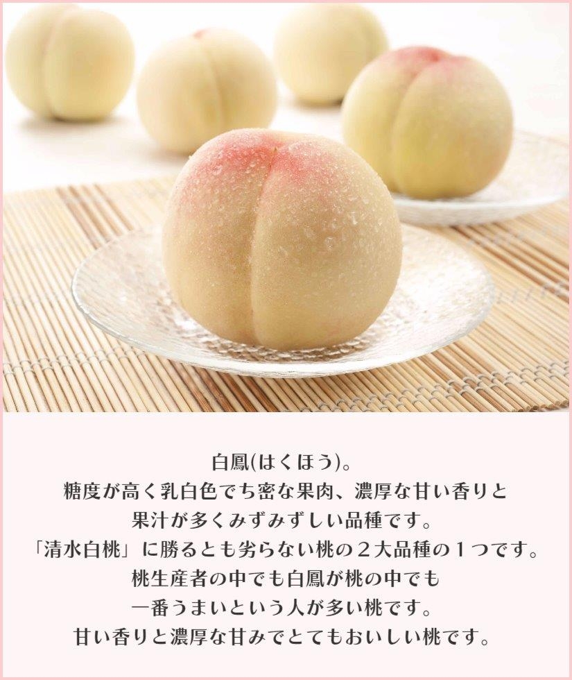 岡山白桃「白鳳(はくほう)」「白麗(はくれい)」「瀬戸内白桃」から