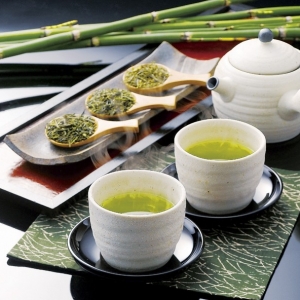 静岡銘茶 香雅伝承