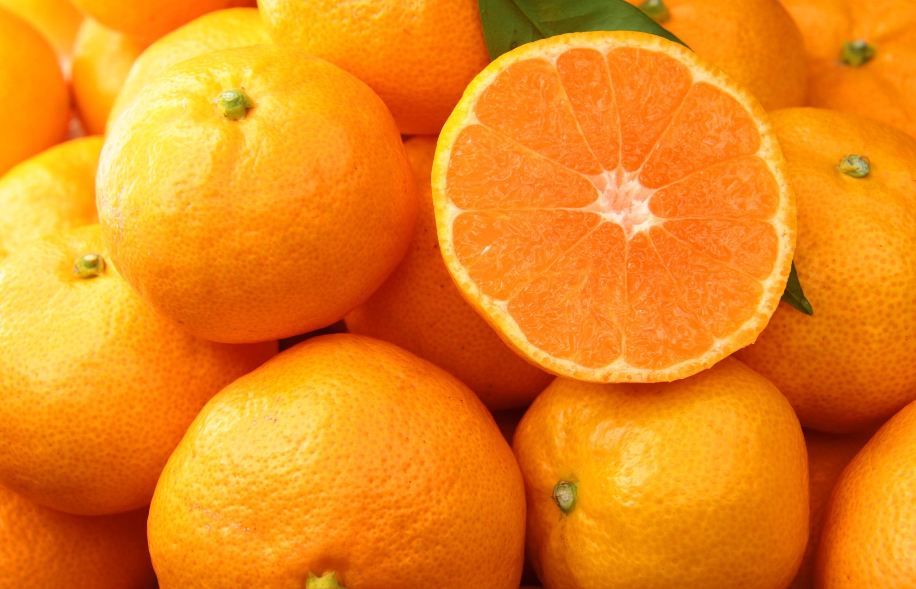 かきうち農園の温州みかん | Giftpad egift