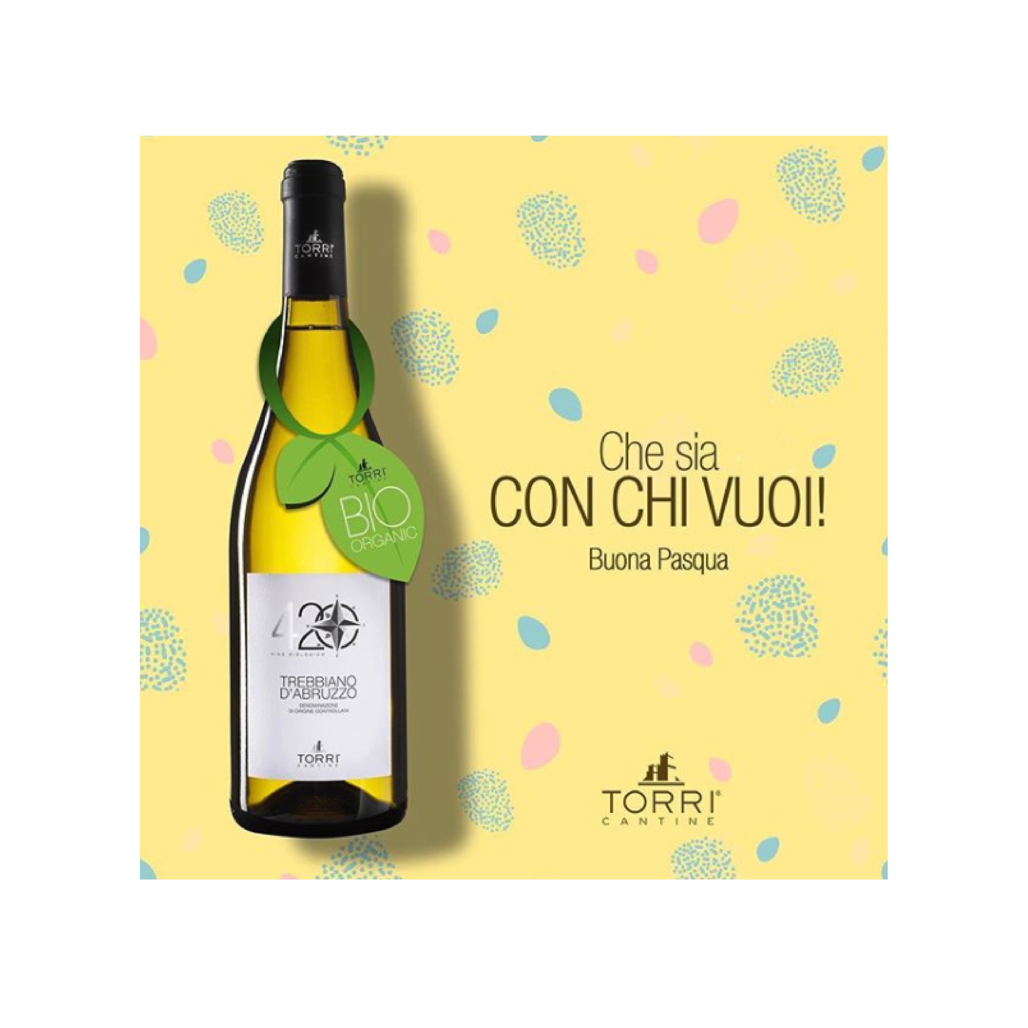 完熟したブドウを手摘みで選定するコストと時間を掛けた白ワイン 