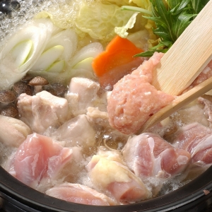 徳島すだち鶏和風鍋用セットＢ(冷凍)