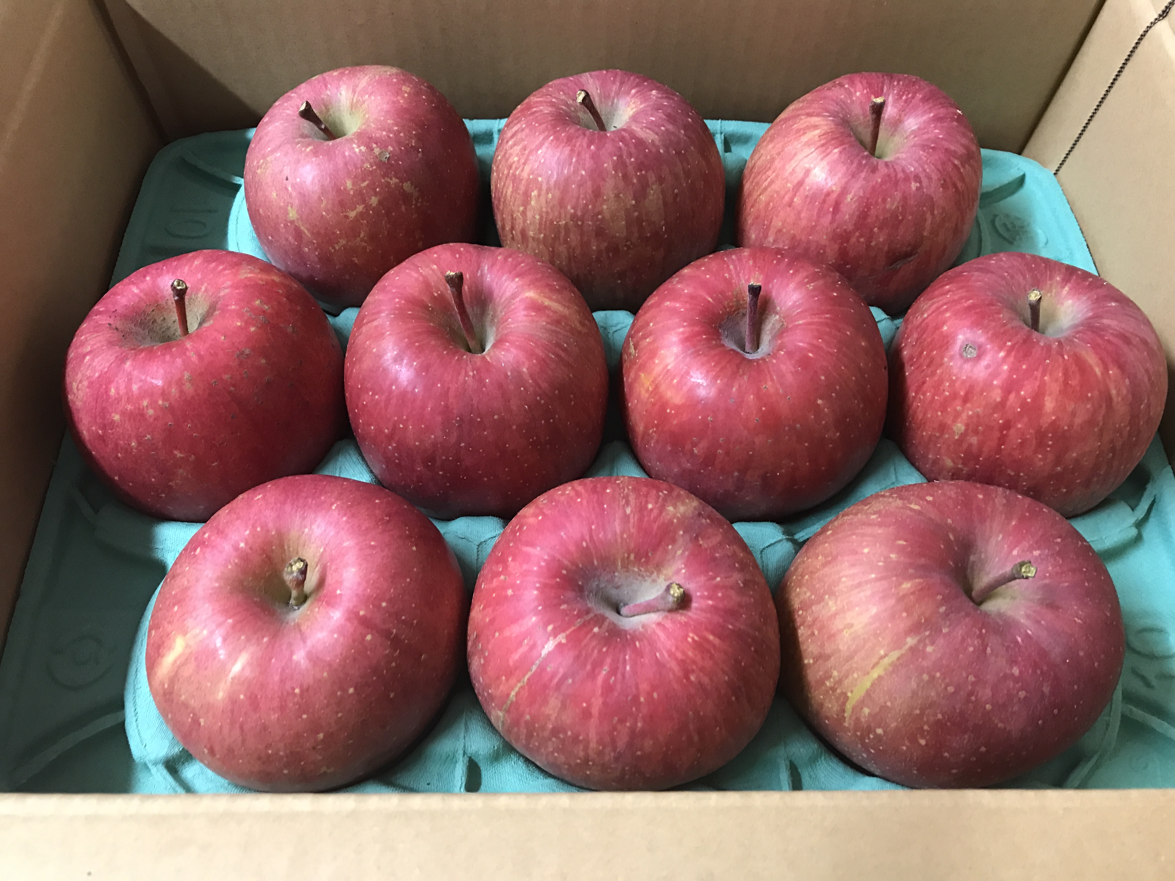 りんごミックス 3kg箱