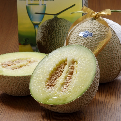静岡マスクメロン(1玉)