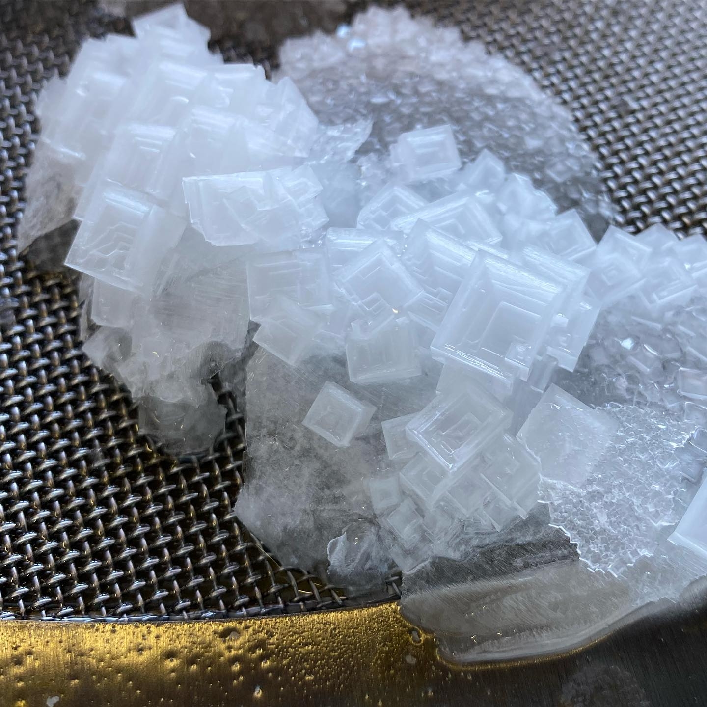 越前海岸 百笑の塩セット Gift Pad