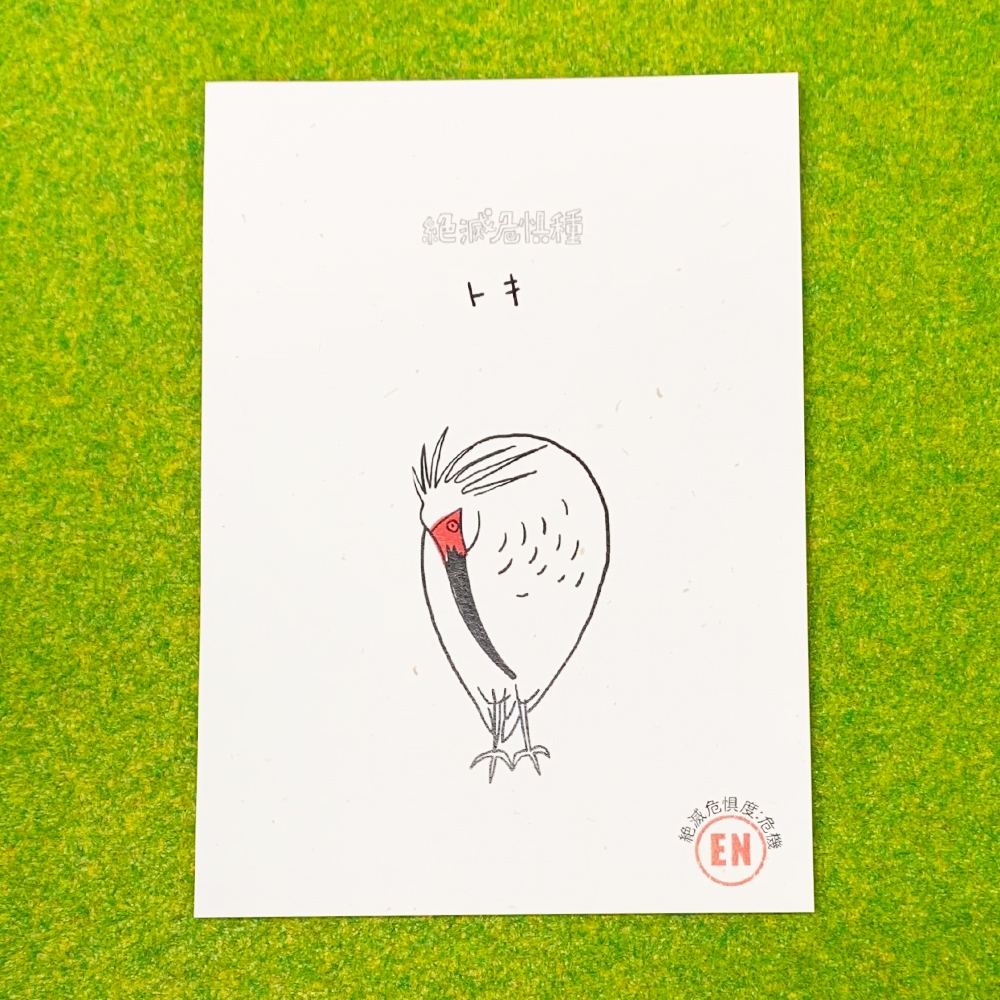 絶滅危惧種】フレークシール(日本・鳥)ポストカード(カワウソ・トキ) 4 