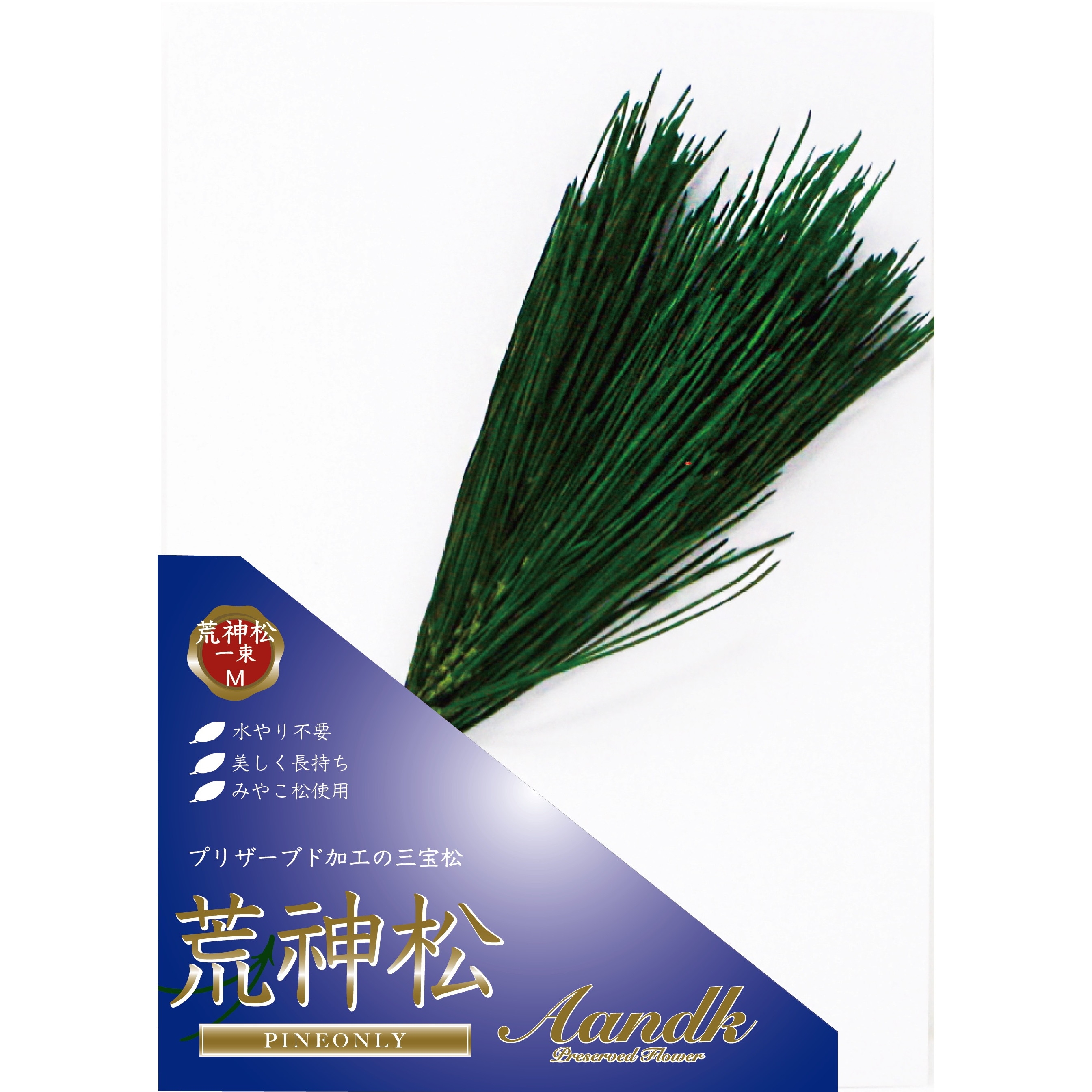 Amazon｜A&K プレミアム 荒神松 花器付きセット プリザーブド (M