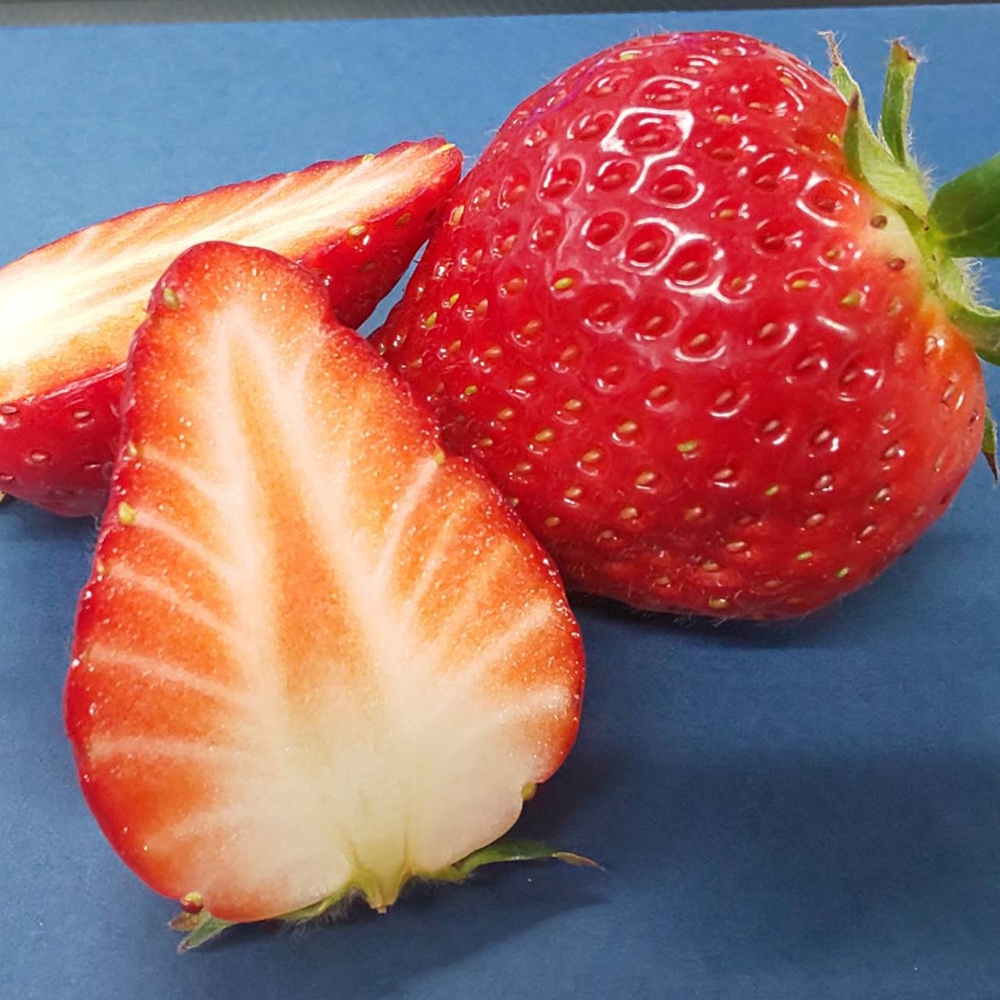 宮城県産とちおとめ【ほほ笑み】 | Giftpad egift