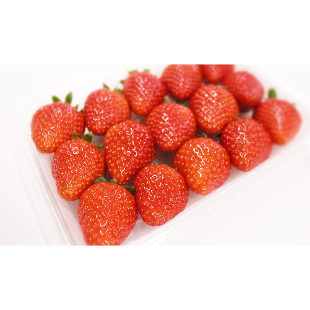 宮城県産とちおとめ【大笑い】 | Giftpad egift