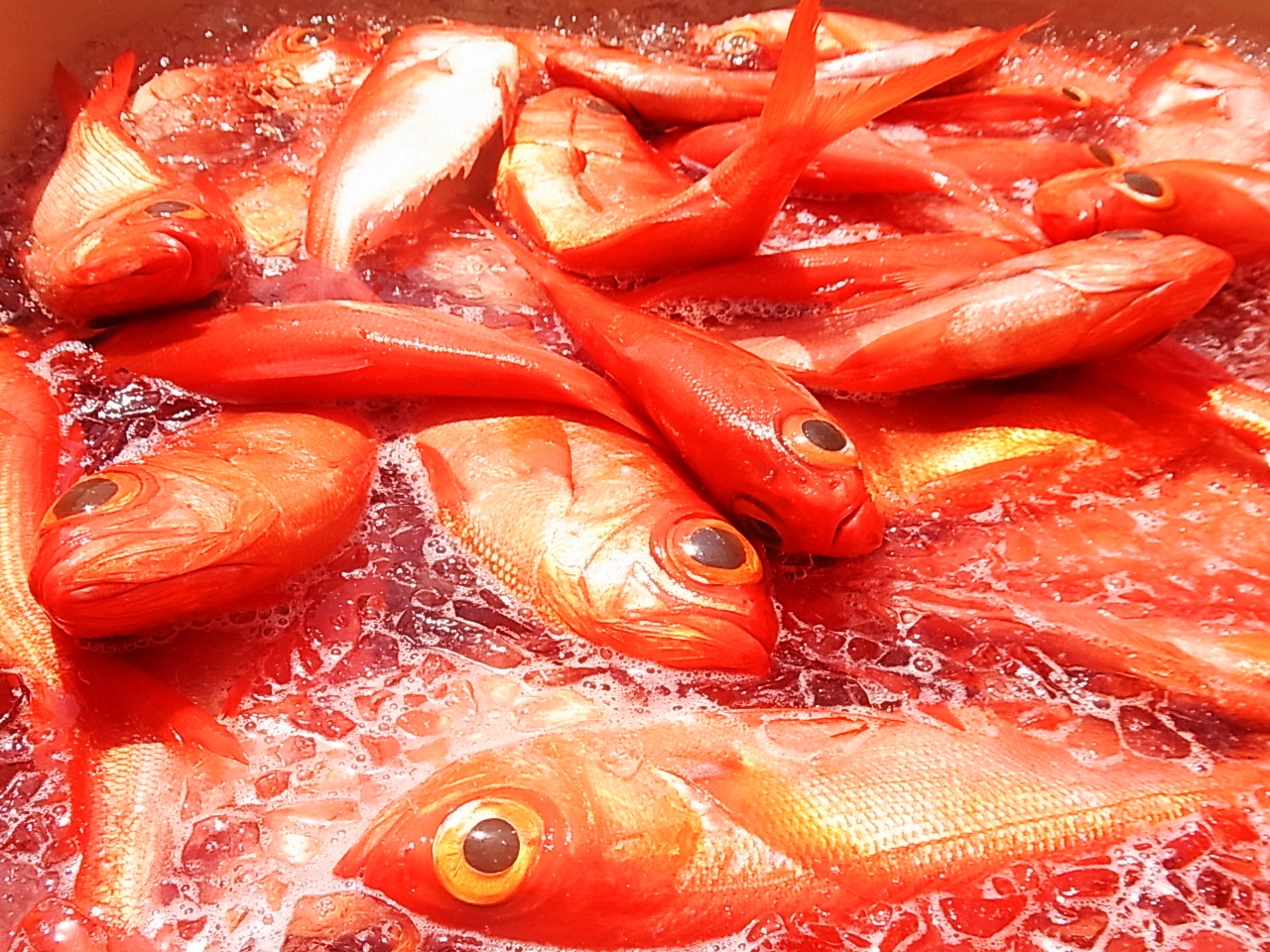 金目鯛姿煮 Gift Pad