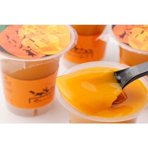 限りなくマンゴーに近いマンゴープリン16個セット