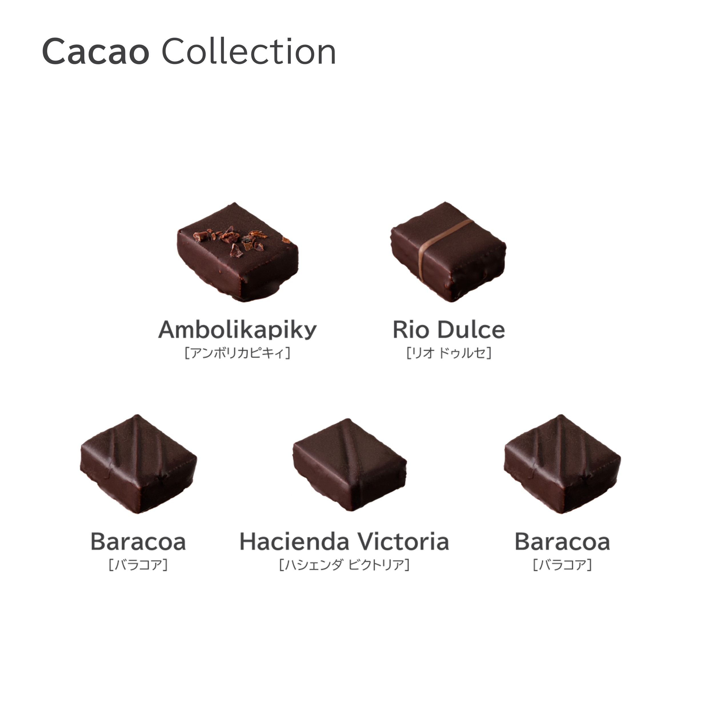 BENOIT NIHANT(ブノワ・ニアン)Cacao Collection(カカオコレクション
