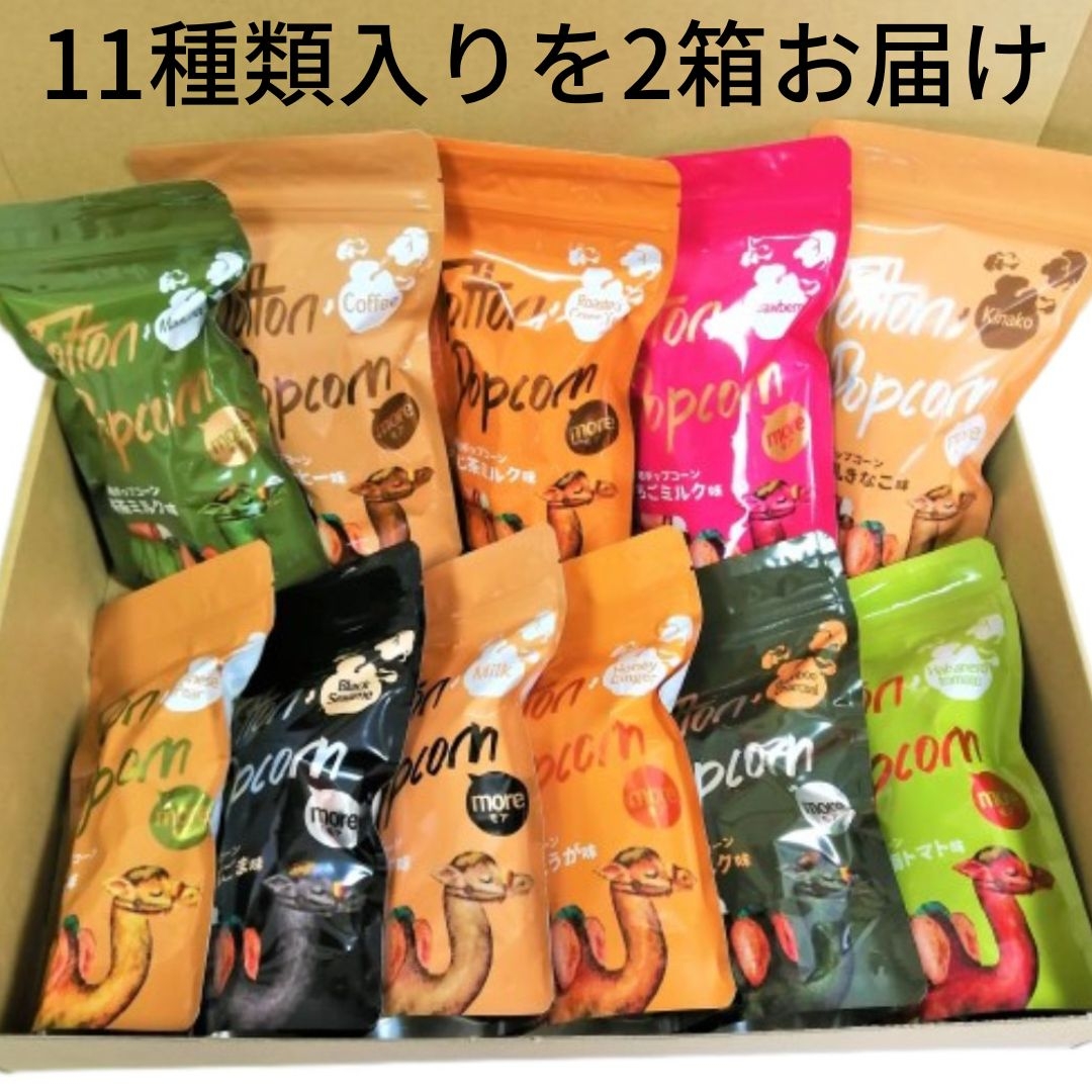 日本生まれの無添加ポップコーン鳥取ポップコーンmore 全11種類 2