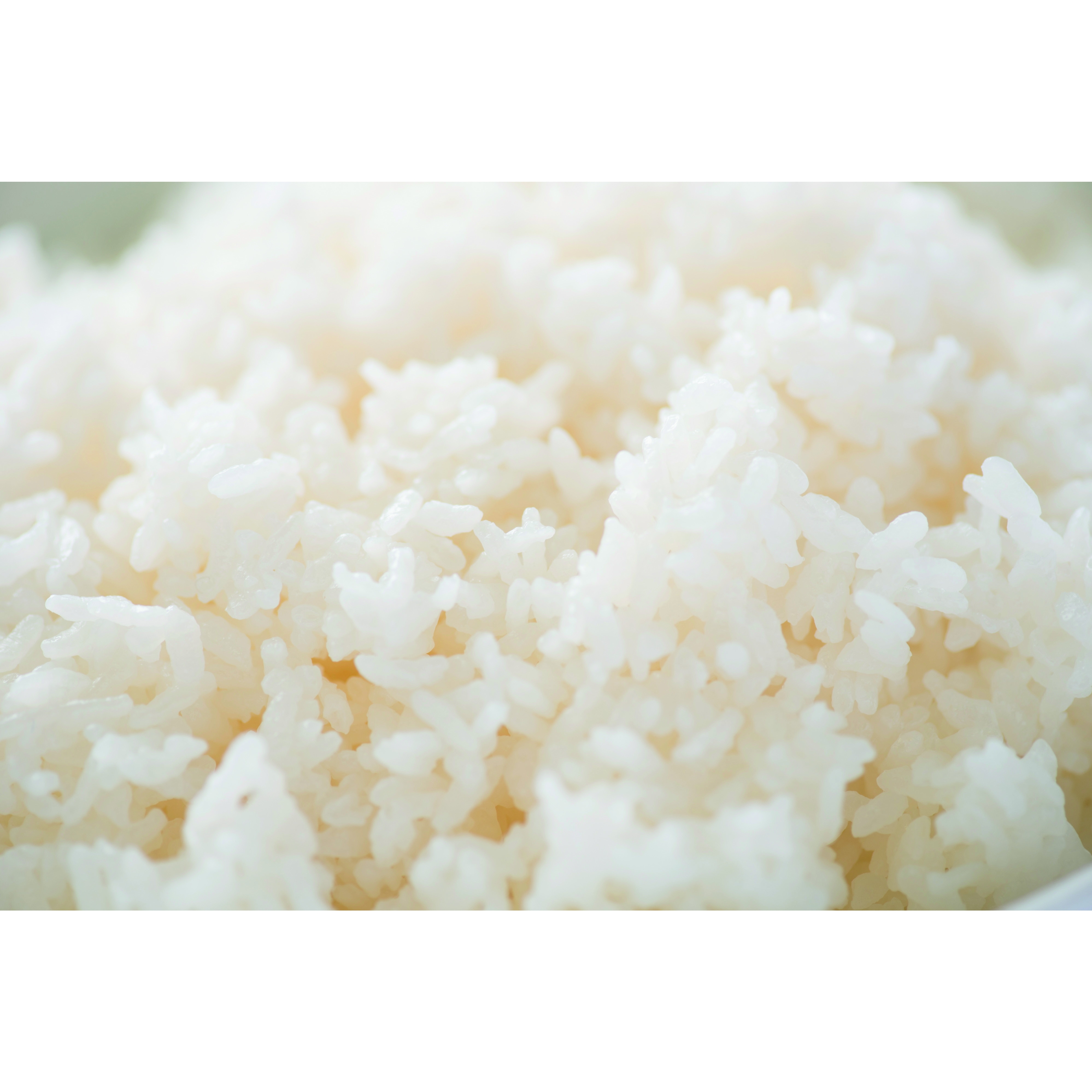 「雪と蛍の米」3合×3