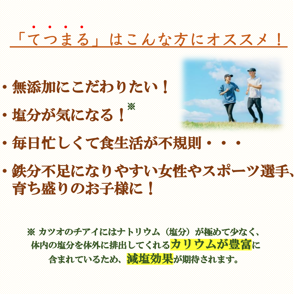 てつまる (鉄分がまるごと摂れるかつおだし/粉末タイプ)100g入