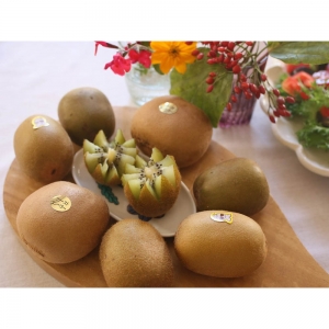 この道50年!プロキウイ農家おすすめの季節限定5品種入るプレミアムキウイセットL