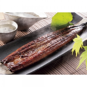 <薩摩川内鰻>鹿児島県産特大鰻長蒲焼4尾セット