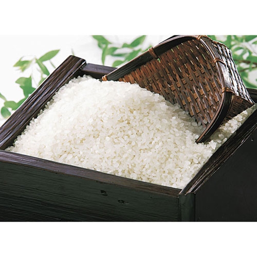 特別栽培米 さゆり米 10kg