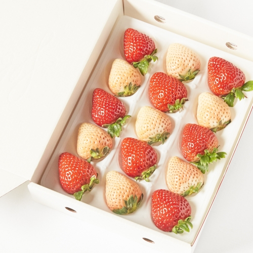 福岡県産 あまおうと淡雪 紅白いちご食べくらべセット