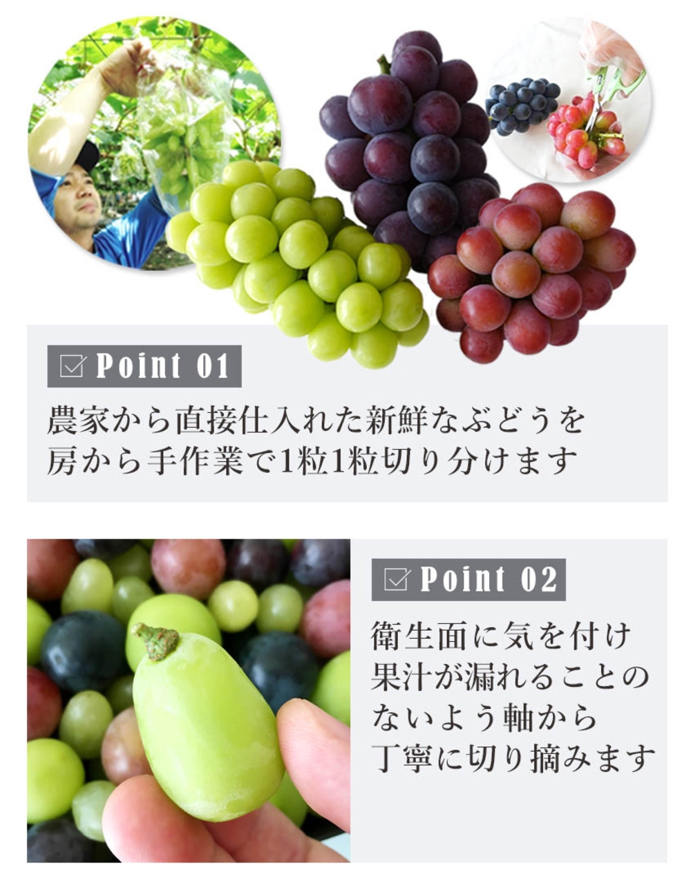 平安象彦　宝石箱　葡萄　ぶどう　オンライン価格264000円 ぶどう 宝石箱 – 象彦 公式オンラインショップ