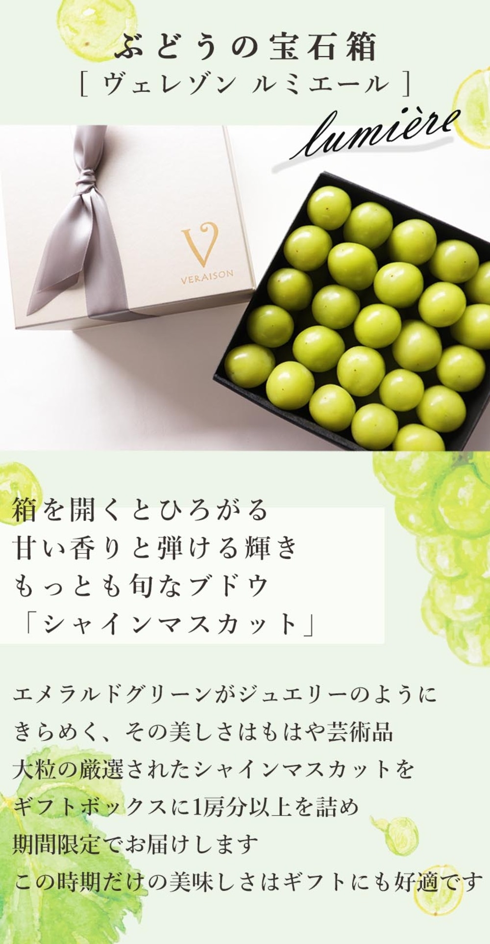 定価264000円　【未使用】平安象彦　宝石箱　葡萄　ぶどう　高級漆器 ぶどう 宝石箱 – 象彦 公式オンラインショップ