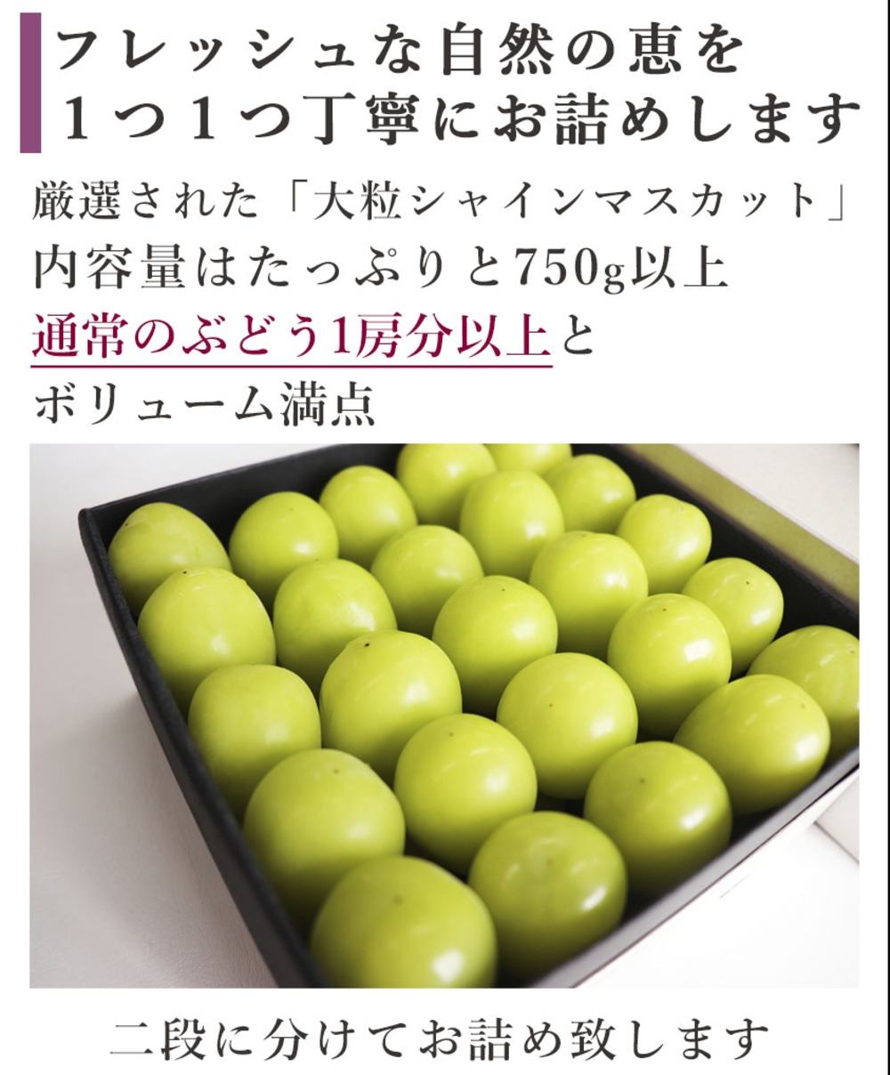 ぶどうの宝石箱ヴェレゾンルミエール | Giftpad egift