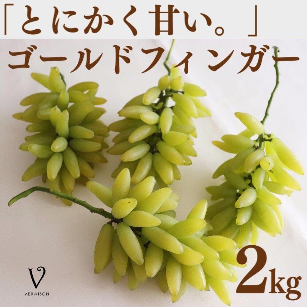 終了 悪魔のぶどう 山梨県産ゴールドフィンガー ゴールドフィンガー | 商品紹介 – Catalog – | 山梨県韮崎市穂坂