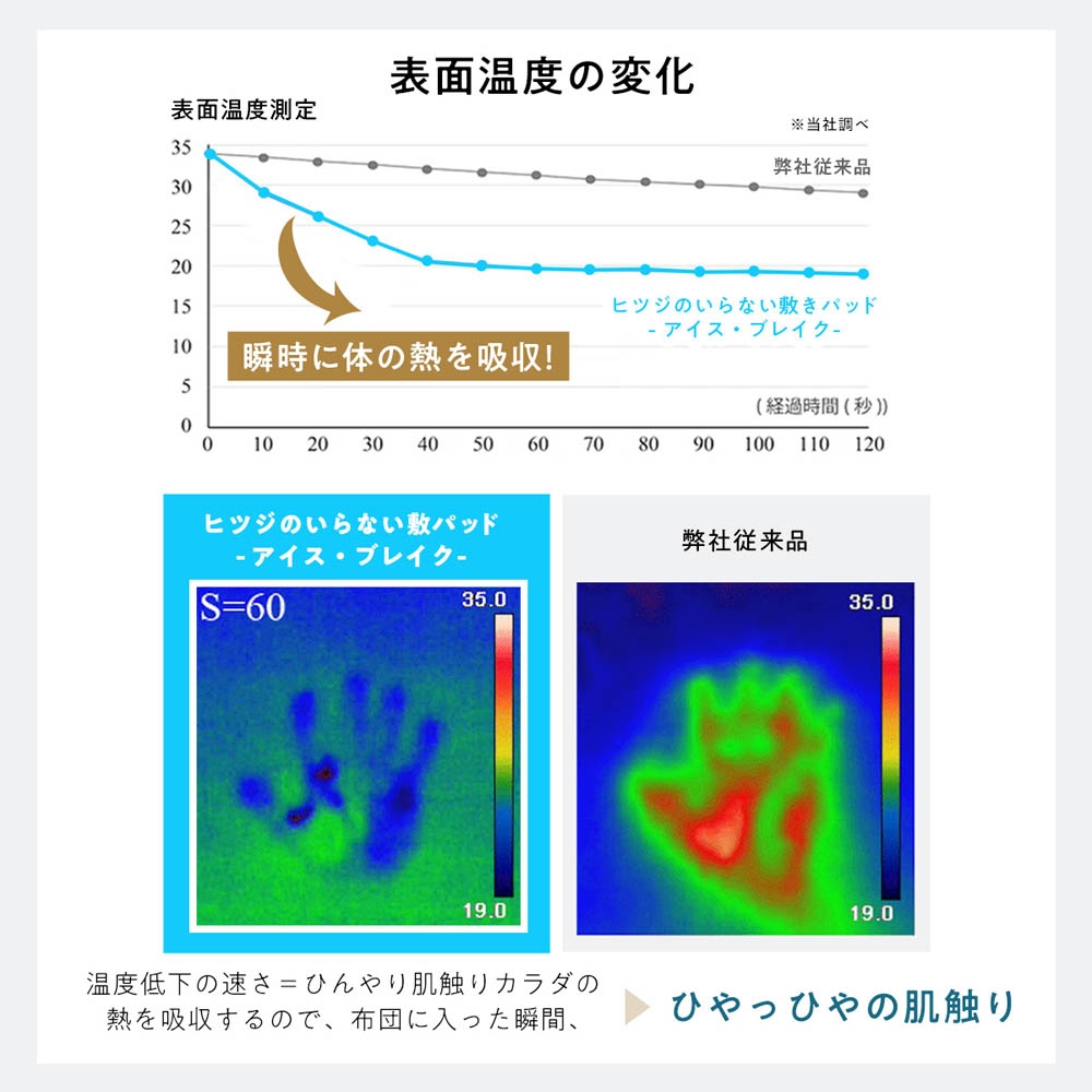 ヒツジのいらない敷きパッド－アイス・ブレイク－DB | Giftpad egift