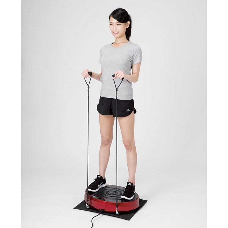 アルインコ 振動マシン バランスウェーブミニ ｆａｖ４１１７ｒ Gift Pad