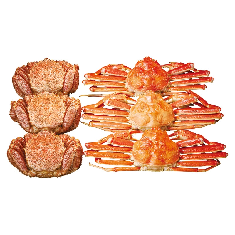 ずわいがに 毛ガニ6尾セット Gift Pad ずわいがに 毛ガニ6尾セット Gift Pad