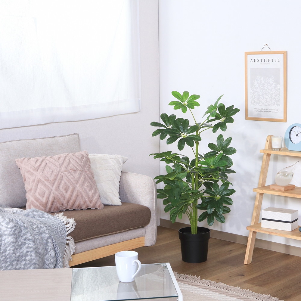 観葉植物 ヤドリフカノキ 216 Giftpad egift