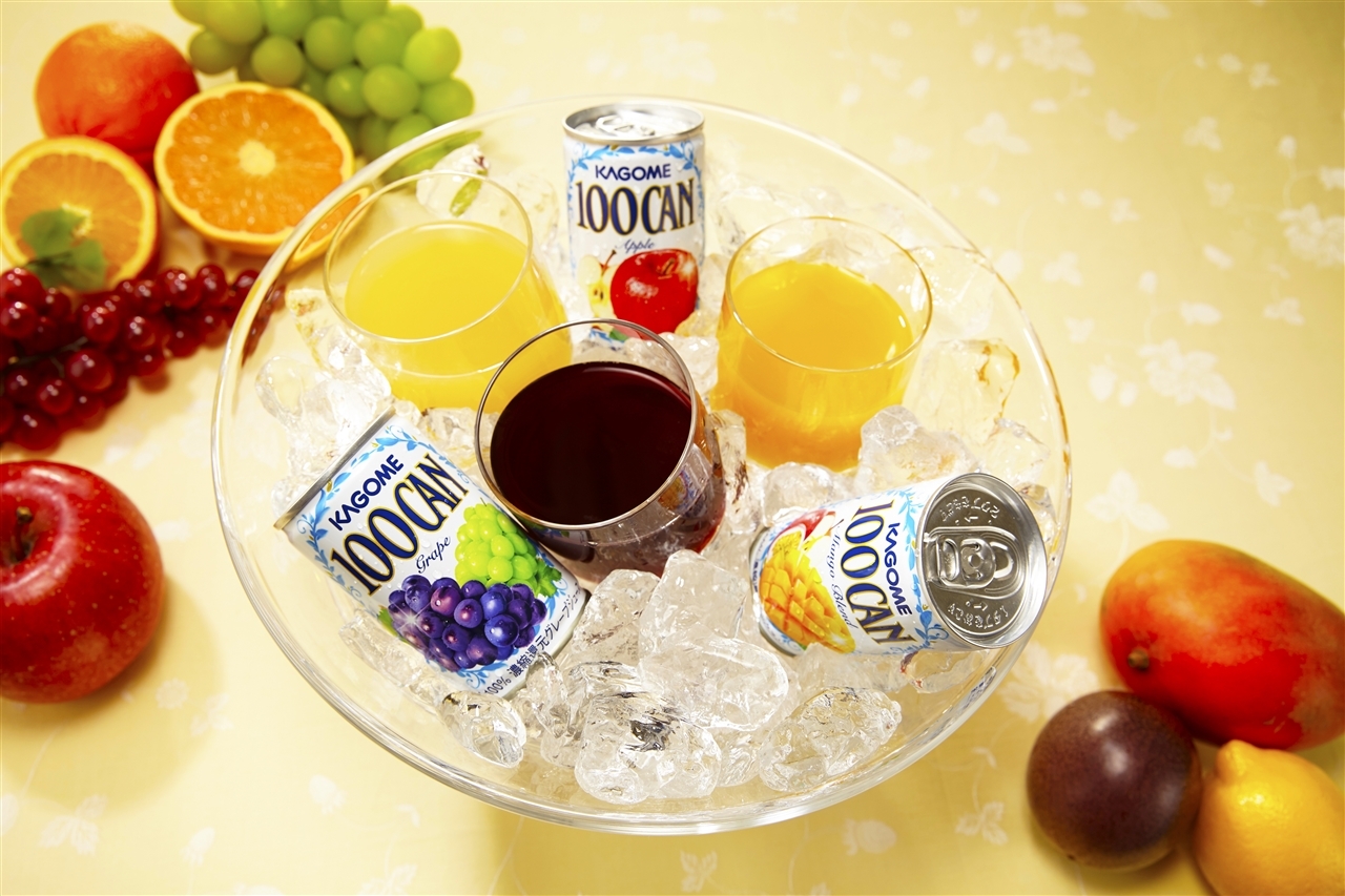 Kagome フルーツジュースギフト Fb 50n Gift Pad