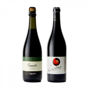 最高評価獲得赤のスパークリングワイン「ランブルスコ」　辛口２種類１２本セット