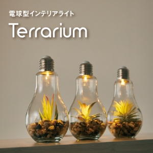 電球型インテリアライト Terrarium(テラリウム) 3種セット