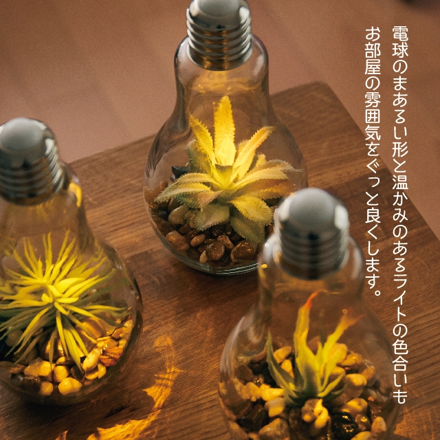 電球型インテリアライト Terrarium(テラリウム) 3種セット