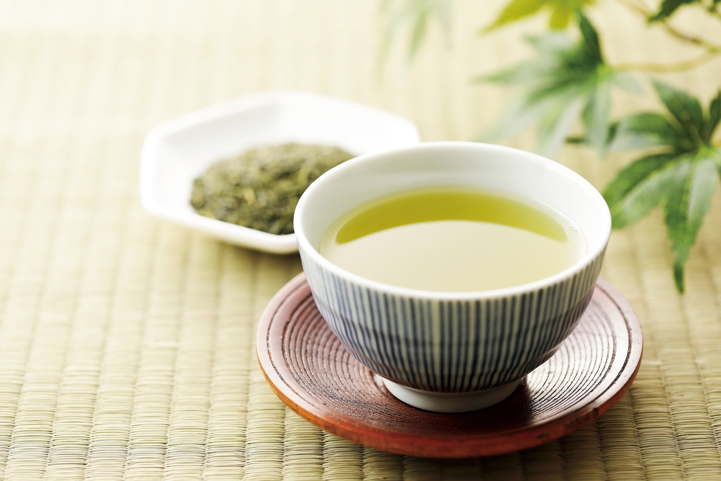完売 狭山茶 egift Giftpad | 茶