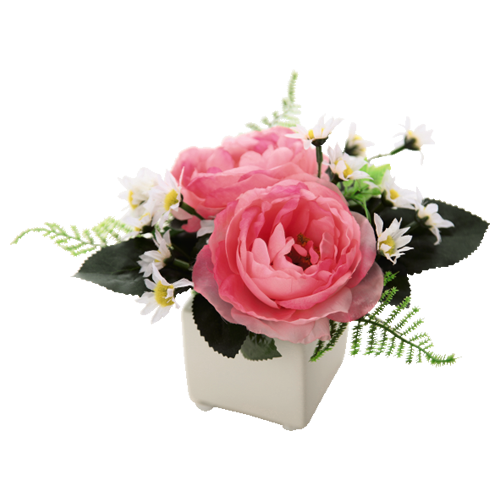 光触媒フラワー ローズ Gift Pad