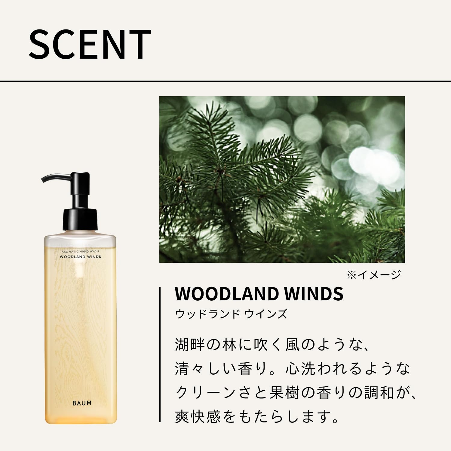 父の日ギフト】BAUM（バウム） ギフトセット アロマティック ハンド