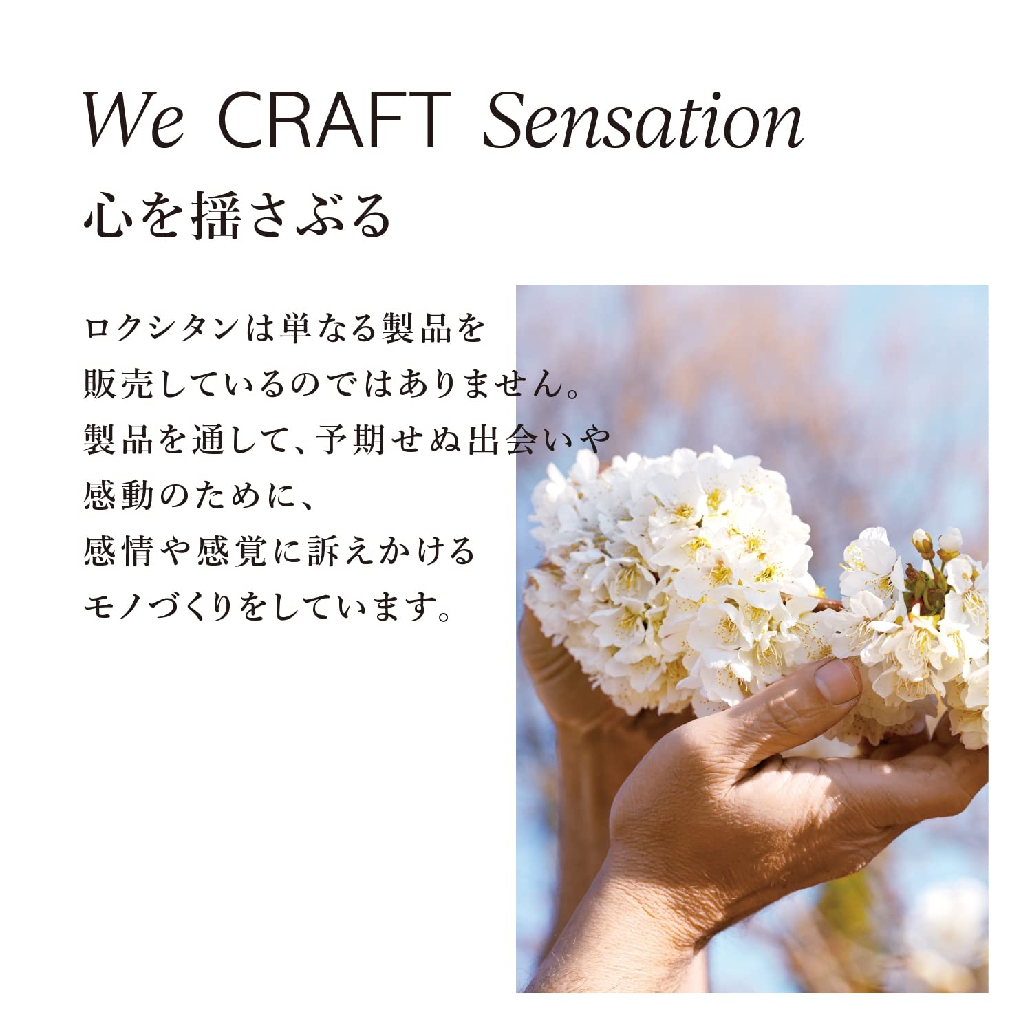 ロクシタン(L'OCCITANE) チェリーブロッサム ハンドクリーム